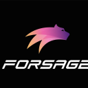 Forsage.io : MetaFORCE Polygon