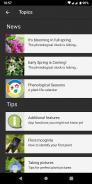 Flora Incognita - automated plant identification screenshot 4