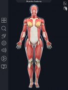 Muscle Anatomy Pro. screenshot 2