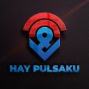 HAY PULSAKU