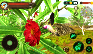 The Hummingbird screenshot 1