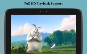 Fast Player - Full HD Video Player screenshot 7