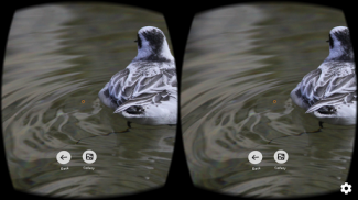 FD VR - Virtual Photo Gallery screenshot 1