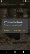 Guineafowl Sounds & Calls screenshot 3