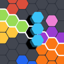 Roi bloc hexagone Icon