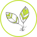 Tu Jardin Medicinal Icon