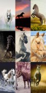 Horse Wallpapers HD screenshot 6