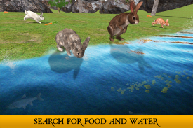конечный Кролик симулятор screenshot 9