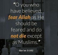 Best Life Muslim Quotes screenshot 3