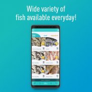 fish.qa - Buy fresh fish online qatar screenshot 7