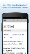 Chinese Dictionary screenshot 2