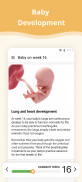 Календарь беременности screenshot 0