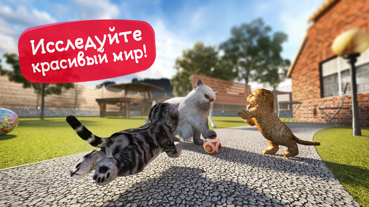 Симулятор Кошки - Загрузить APK для Android | Aptoide