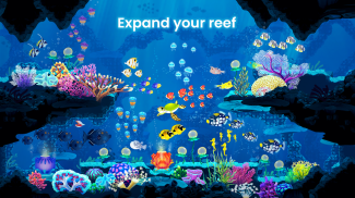 Splash: Fish Sanctuary screenshot 3