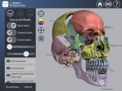 3D Skull Atlas screenshot 8