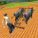 Village Plow Farming Expert:Bull Farmers Simulator Icon