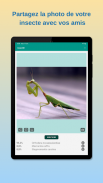 InsectID - Identifier insectes screenshot 1