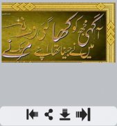 Deedar Urdu Shayari screenshot 0