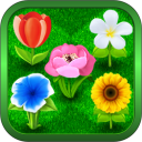 Bouquets - Flower Garden Icon