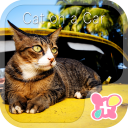 Cute Theme-Cat on a Car- Icon