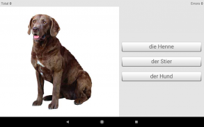 Impariamo le parole tedesche con Smart-Teacher screenshot 13