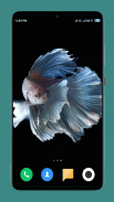 Betta Fish Wallpapers 4K screenshot 9