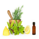 Home Remedies & Natural Cures Icon