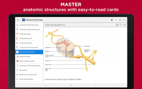 Anatomy & Physiology Made Easy screenshot 6