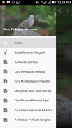 Kicau Perkutut Lokal Juara screenshot 0