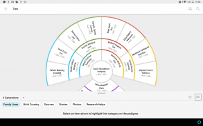 Arborele FamilySearch screenshot 8