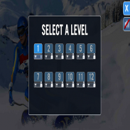 Downhill Ski screenshot 0