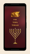 TORAH screenshot 2