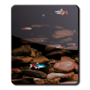 Tiny Fish HD LWP FREE Neon Icon