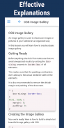Learn CSS screenshot 3