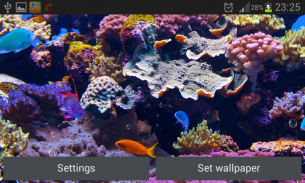 Aquarium Hintergrundbilder screenshot 5