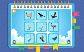 Birds Learning Kids & Toddler screenshot 3