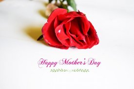 Mother's Day Wishes & Cards screenshot 1