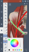 Hip and Thigh: 3D RT - Sub screenshot 7