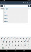 Nepali Dictionary screenshot 11
