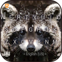 Polygon Raccoon Keyboard Theme