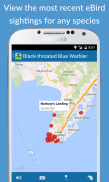 BirdsEye Bird Finding Guide screenshot 3