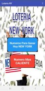 Ganar Loteria New York screenshot 2