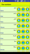 Learn Arabic language screenshot 3