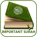 Important Surah Al Quran + MP3 Icon