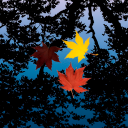 Water Autumn Leaves icon