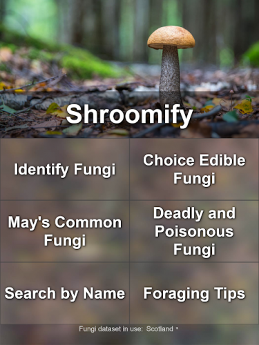 Shroomify British Mushroom Identification 1 3 3 Download Android Apk Aptoide