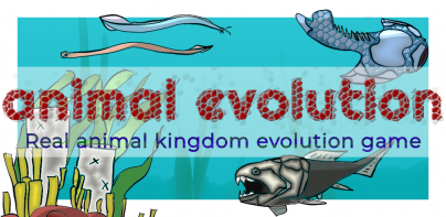 Animal Evolution