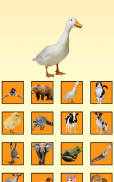 Animal Sounds screenshot 3