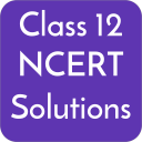 Class 12 NCERT Solutions Icon