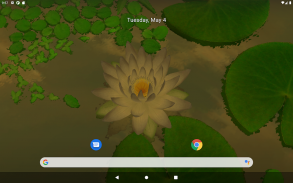3D Lotus Pond Live Wallpaper Free screenshot 1